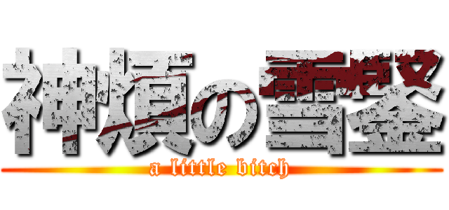 神煩の雪鋻 (a little bitch)
