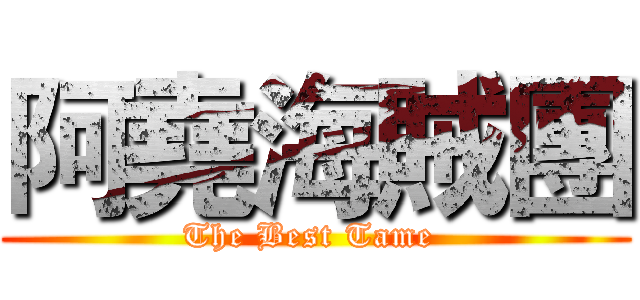 阿堯海賊團 (The Best Tame )