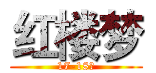 红楼梦 (17-18回)