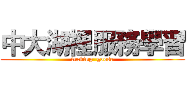 中大湖裡服務學習 (fucking  goose)