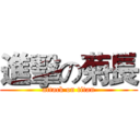 進擊の菊長 (attack on titan)