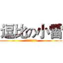 逗比の小雷 (怎样！你打我呀！)