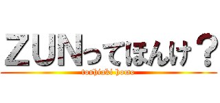 ＺＵＮってほんけ？ (toshiaki homo)