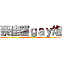 蔡佳磬ｇａｙ炮 (我爽我嬌傲)