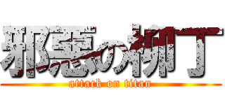 邪惡の柳丁 (attack on titan)
