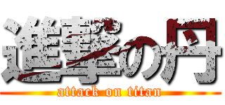 進撃の丹 (attack on titan)