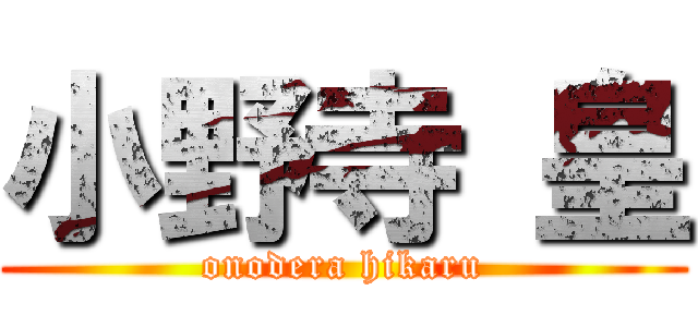 小野寺 皇 (onodera hikaru)