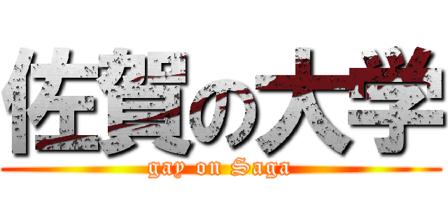 佐賀の大学 (gay on Saga)