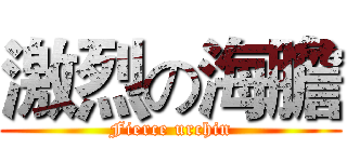 激烈の海膽 (Fierce urchin)