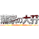 蒲家の大孖 (attack on titan)