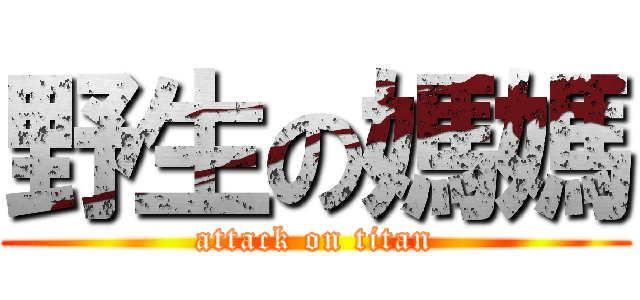 野生の媽媽 (attack on titan)