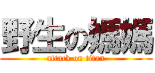 野生の媽媽 (attack on titan)
