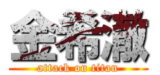 金希澈 (attack on titan)