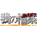 我の檔案 (attack on titan)