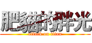 肥貓的胖光 (attack on titan)