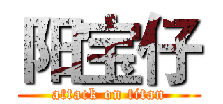 阳宝仔 (attack on titan)