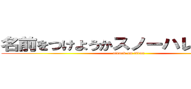 名前をつけようかスノーハレーション (attack on titan)