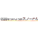 名前をつけようかスノーハレーション (attack on titan)
