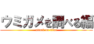 ウミガメを調べる編 (attack on titan)