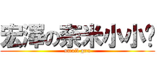 宏澤の奈米小小屌 (small gun)