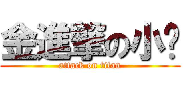 金進撃の小乔 (attack on titan)