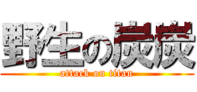野生の炭炭 (attack on titan)