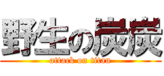 野生の炭炭 (attack on titan)