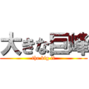 大きな巨峰 (the big it)