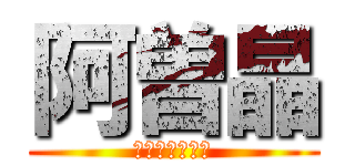 阿曽晶 (執行委員立候補)