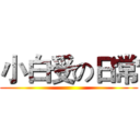 小白受の日常 ()