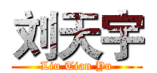 刘天宇 (Liu Tian Yu)