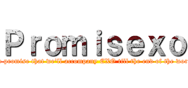 Ｐｒｏｍｉｓｅｘｏ (We promise that we\'ll accompany EXO till the end of the world)