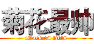 菊花最帅 (attack on titan)
