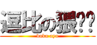 逗比の猥琐酱 (baka aya)