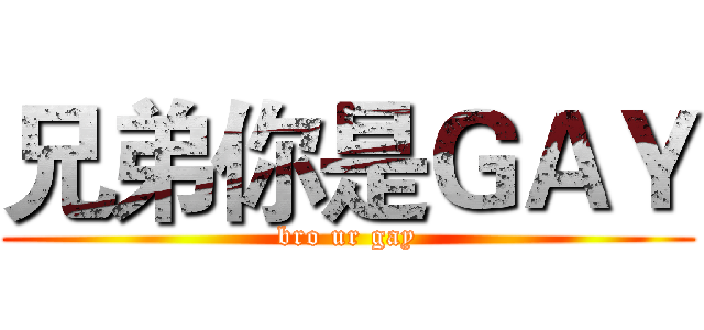 兄弟你是ＧＡＹ (bro ur gay)