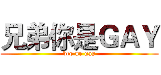 兄弟你是ＧＡＹ (bro ur gay)