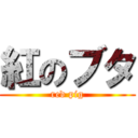 紅のブタ (red pig)