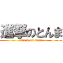 進撃のとんま (attack on titan)