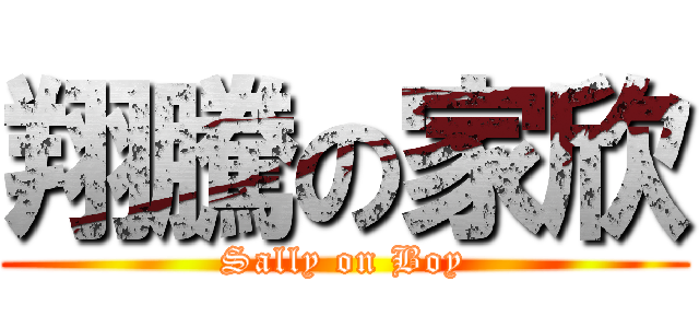 翔騰の家欣 (Sally on Boy)