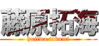 藤原拓海 (hujiwa takumi)