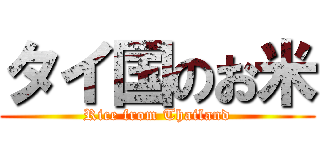 タイ国のお米 (Rice from Thailand)