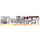 逼问の海枯石烂 (attack on titan)