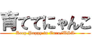 育ててにゃんこ (Keep Puppy in Euro/USA)