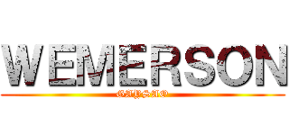 ＷＥＭＥＲＳＯＮ (GAYSAO)