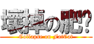 壞掉の肥貓 (Collapse on FatCat)