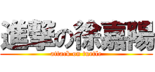 進撃の徐嘉陽 (attack on turtle)