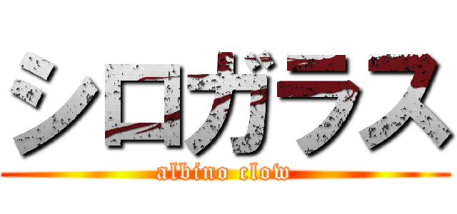 シロガラス (albino clow)