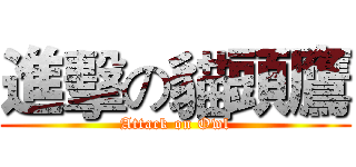 進擊の貓頭鷹 (Attack on Owl)