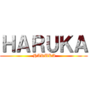 ＨＡＲＵＫＡ ( HARUKA)