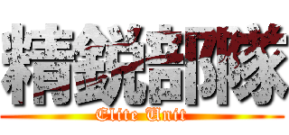 精鋭部隊 (Elite Unit)